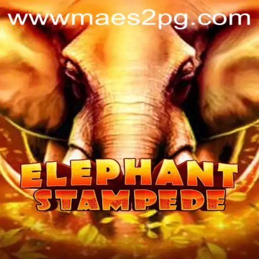 Dive into the Exciting World of ElephantStampede